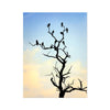 Avian Arbor 6 - Macabre Canvas Print by doingly