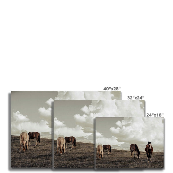 Equine Haven 7 - Animal Canvas Print by doingly