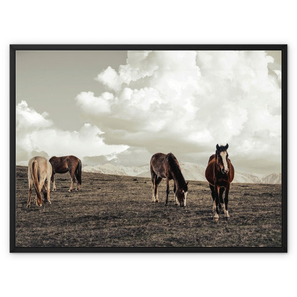 Equine Haven 8 - Animal Canvas Print by doingly