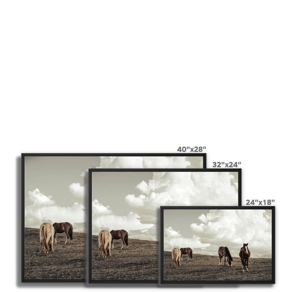 Equine Haven 9 - Animal Canvas Print by doingly