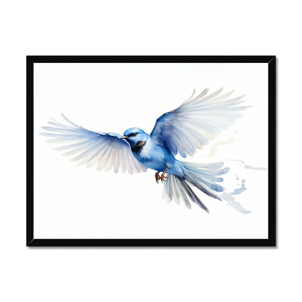 Feathered Creations - Bird 01 1 - Animal Poster Print by doingly
