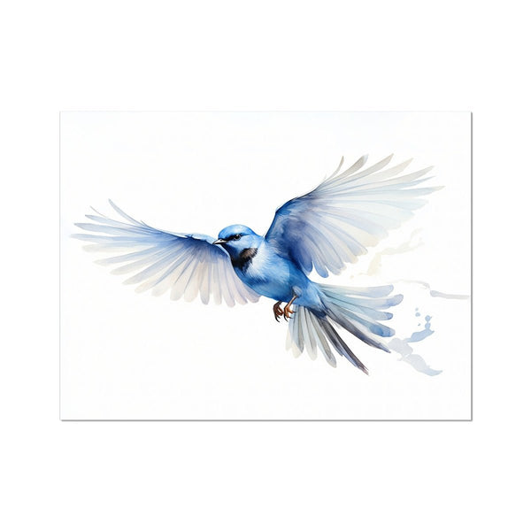 Feathered Creations - Bird 01 6 - Animal Poster Print by doingly