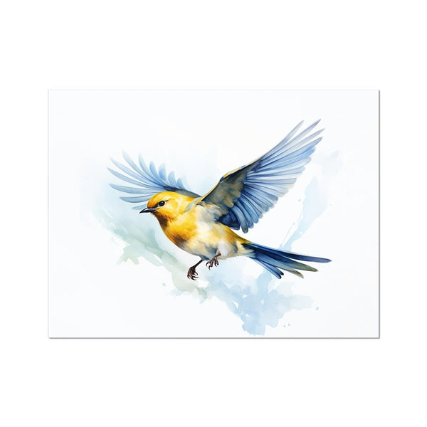Feathered Creations - Bird 04 6 - Animal Poster Print by doingly