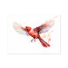 Feathered Creations - Bird 05 6 - Animal Poster Print by doingly