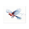 Feathered Creations - Bird 06 6 - Animal Poster Print by doingly