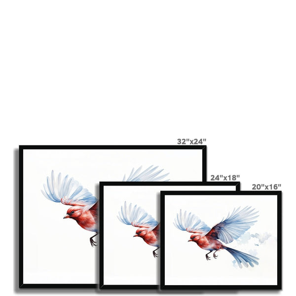 Feathered Creations - Bird 06 5 - Animal Poster Print by doingly