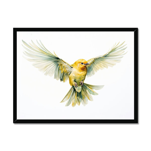 Feathered Creations - Bird 07 1 - Animal Poster Print by doingly