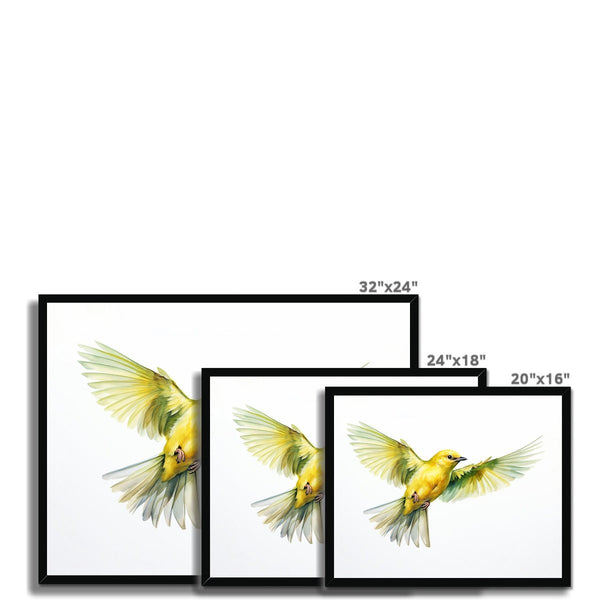 Feathered Creations - Bird 08 5 - Animal Poster Print by doingly