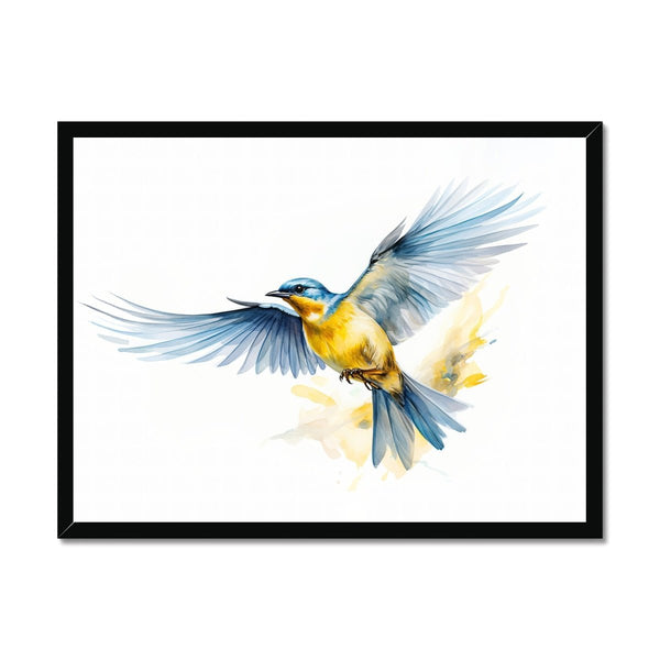 Feathered Creations - Bird 09 1 - Animal Poster Print by doingly