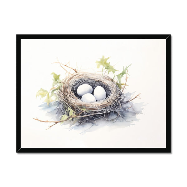 Feathered Creations - Nest 01 1 - New Poster Print by doingly