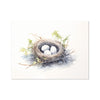 Feathered Creations - Nest 01 6 - New Poster Print by doingly