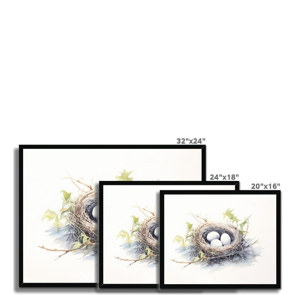 Feathered Creations - Nest 01 5 - New Poster Print by doingly