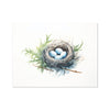 Feathered Creations - Nest 02 6 - New Poster Print by doingly