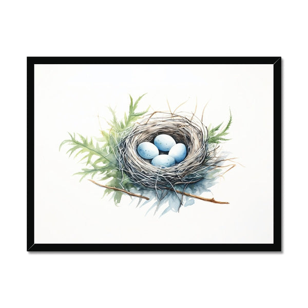 Feathered Creations - Nest 02 1 - New Poster Print by doingly
