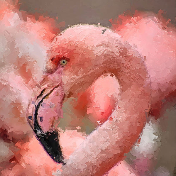 Portrait - Flamingo 2 - Animal Matte Print by doingly