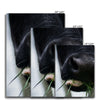 Chewing Cud - Animal Canvas Print by doingly