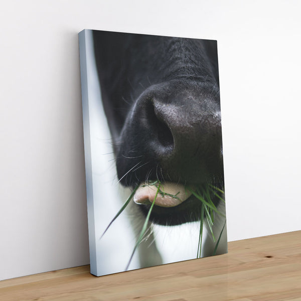 Chewing Cud - Animal Canvas Print by doingly