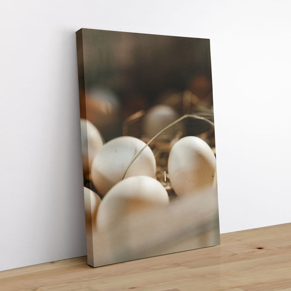 Counting Eggs 1 - Animal Canvas Print by doingly