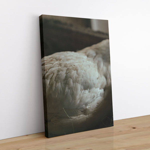 Feathered Creature 1 - Animal Canvas Print by doingly