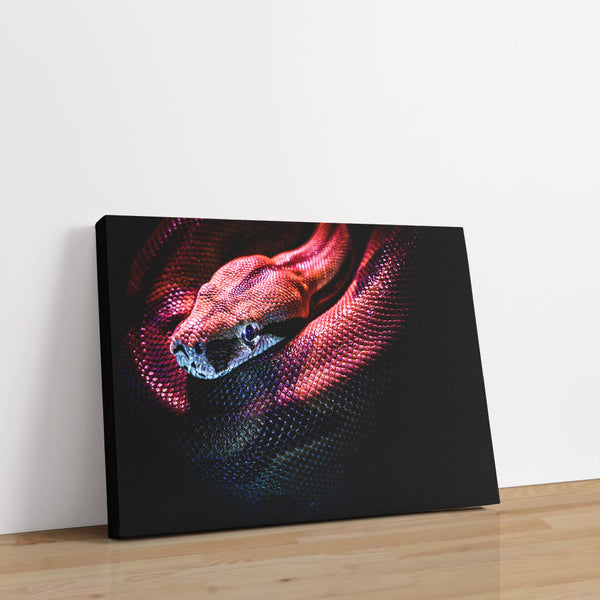 Quiet Coils 1 - Animal Canvas Print by doingly