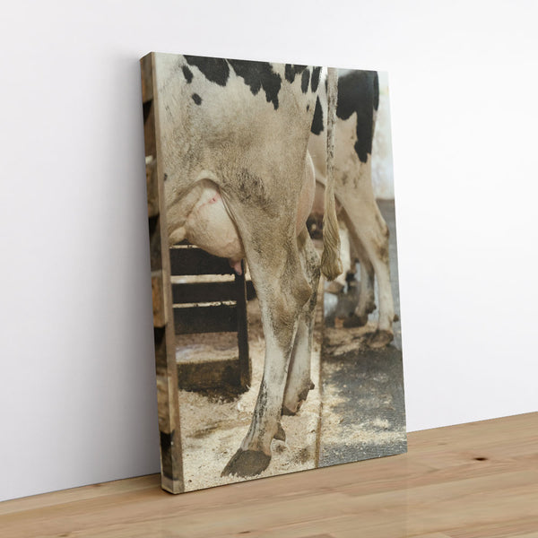 She's Got Legs 1 - Animal Canvas Print by doingly