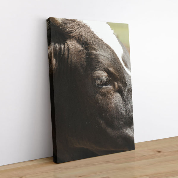 Whatchu Lookin' At? 1 - Animal Canvas Print by doingly