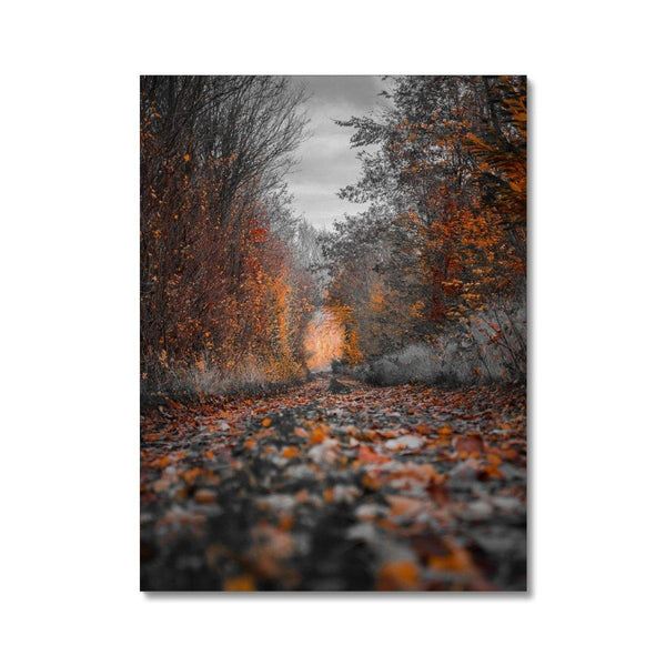 Autumn Passage 2 - Landscapes Canvas Print by doingly
