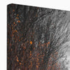 Autumn Passage - Landscapes Canvas Print by doingly