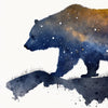 Celestial Starry Night - Bear 2 - Animal Poster Print by doingly