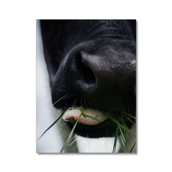 Chewing Cud 2 - Animal Canvas Print by doingly