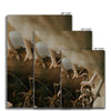 Chicken Legs 7 - Animal Canvas Print by doingly