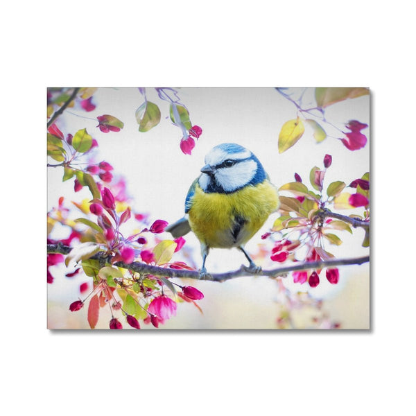 Chirpy, Chirp, Chirp - Close-ups Canvas Print by doingly