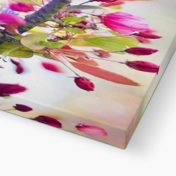 Chirpy, Chirp, Chirp 4 - Close-ups Canvas Print by doingly