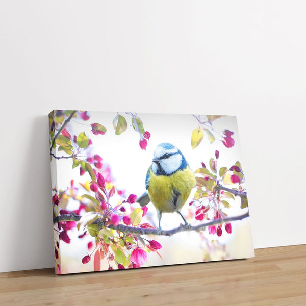 Chirpy, Chirp, Chirp 1 - Close-ups Canvas Print by doingly