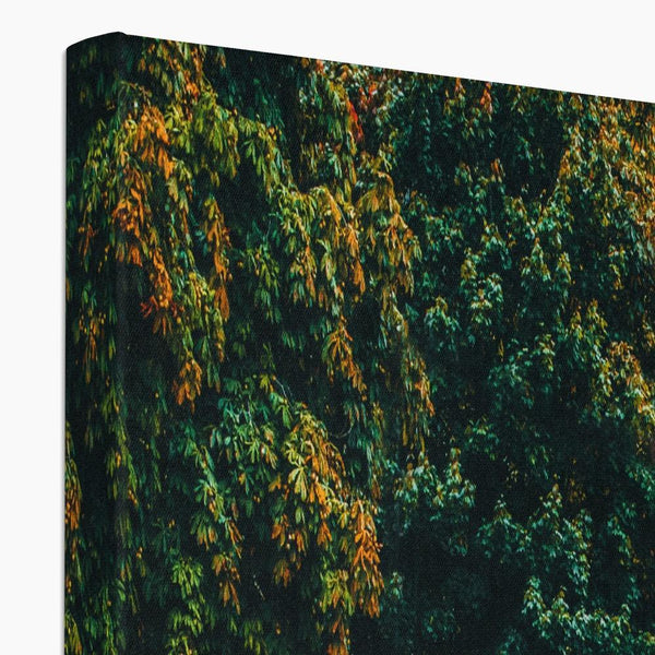 Cottage Leaves 4 - Landscapes Canvas Print by doingly