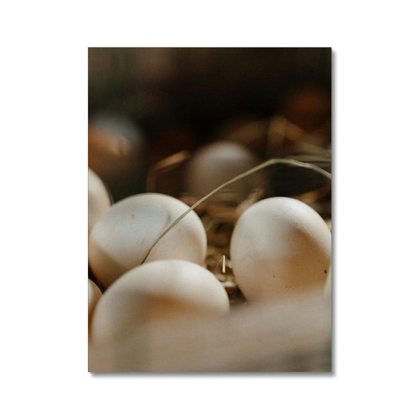 Counting Eggs 2 - Animal Canvas Print by doingly