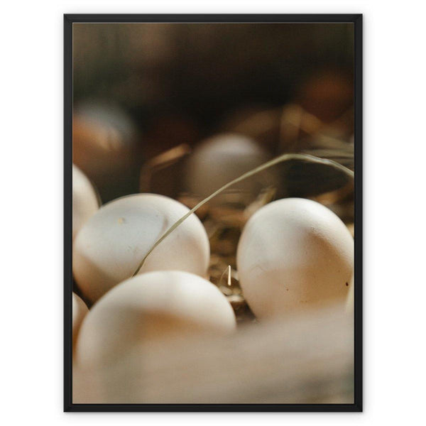 Counting Eggs - Animal Canvas Print by doingly