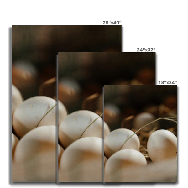 Counting Eggs 7 - Animal Canvas Print by doingly