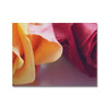 Delight 2 - Close-ups Canvas Print by doingly
