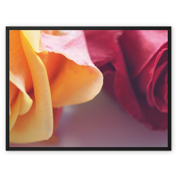 Delight 3 - Close-ups Canvas Print by doingly