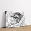 Eye on Finance 1 - Close-ups Canvas Print by doingly