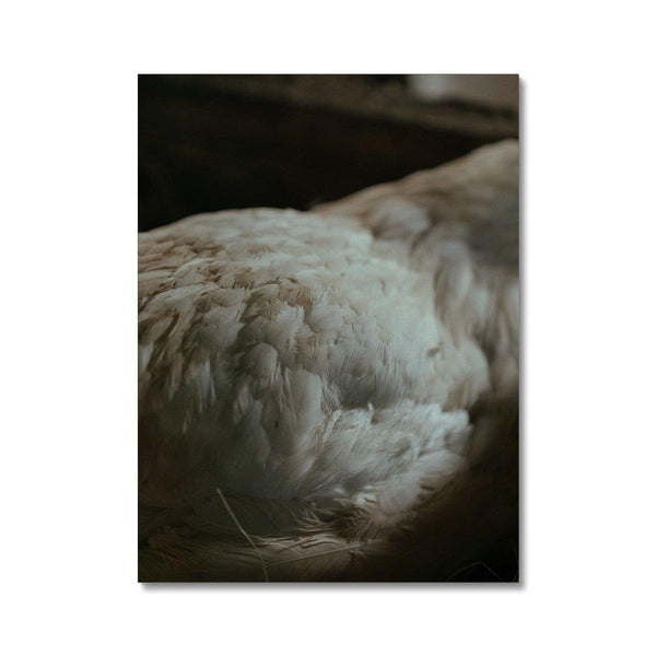 Feathered Creature - Animal Canvas Print by doingly