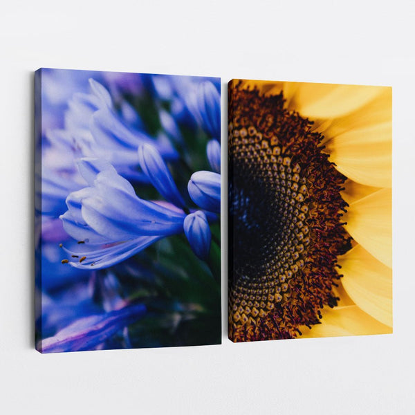And Flowers A, B 1 - Close-ups Canvas Print by doingly
