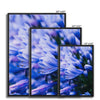 And Flowers A, B 9 - Close-ups Canvas Print by doingly