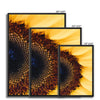 And Flowers A, B 16 - Close-ups Canvas Print by doingly