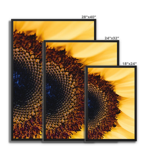 And Flowers A, B - Close-ups Canvas Print by doingly