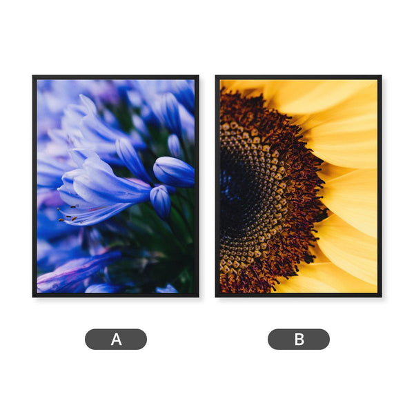 And Flowers A, B 2 - Close-ups Canvas Print by doingly