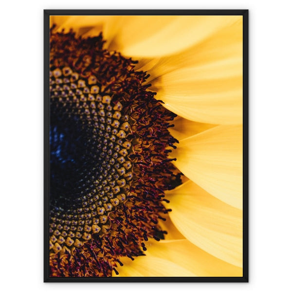 And Flowers A, B 15 - Close-ups Canvas Print by doingly