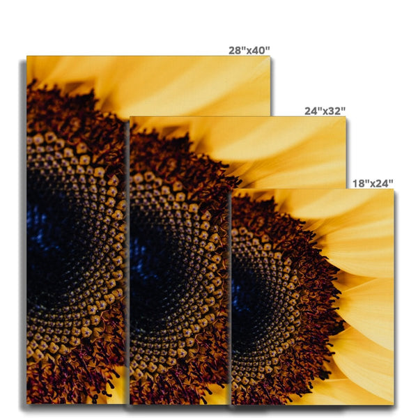 And Flowers A, B 13 - Close-ups Canvas Print by doingly