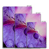 And Flowers C 6 - Close-ups Canvas Print by doingly